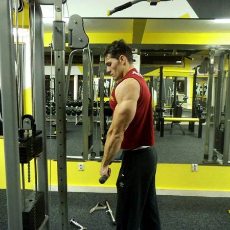 najbolje vezbe za triceps