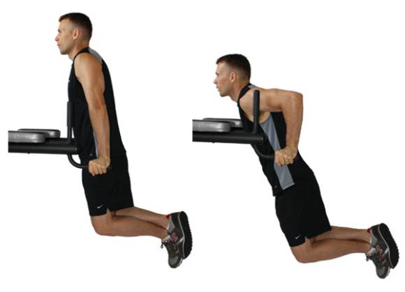 triceps bez tegova