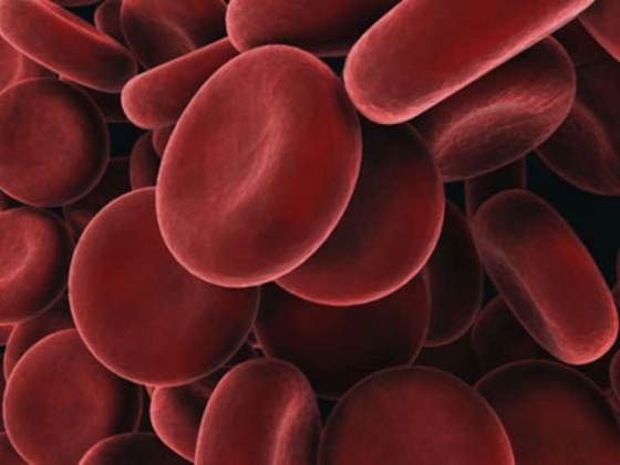 nizak hemoglobin