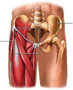 bol u zglobovima krastavac deformirajuća artroza liječenja koljena 1 stupanj