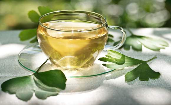 ginko biloba caj