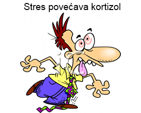 kortizol