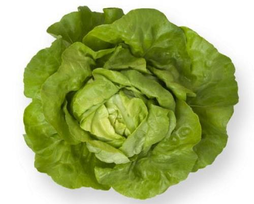 salata zelena