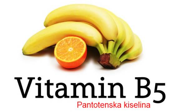 pantotenska kiselina b 5