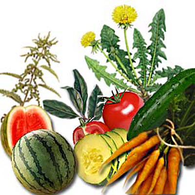 prirodni diuretici