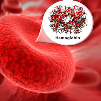 visok hemoglobin